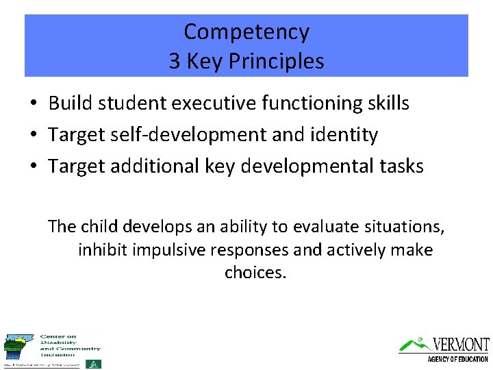 Competency 3 Key Principles • Build student executive functioning skills • Target self-development and