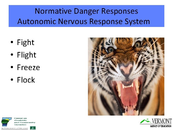 Normative Danger Responses Autonomic Nervous Response System • • Fight Flight Freeze Flock 