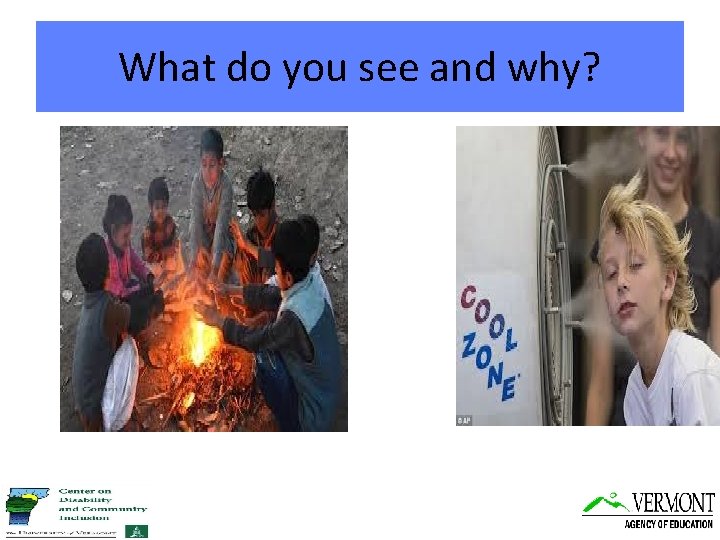 What do you see and why? 