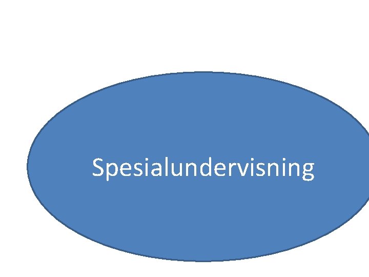 Spesialundervisning 