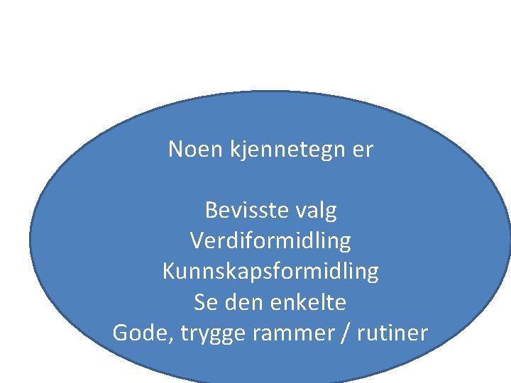 Noen kjennetegn er Bevisste valg Verdiformidling Kunnskapsformidling Se den enkelte Gode, trygge rammer /