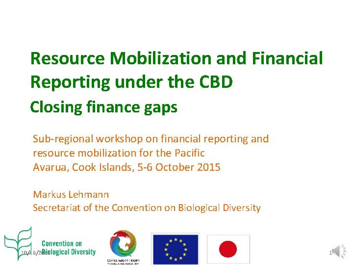 Resource Mobilization and Financial Reporting under the CBD Closing finance gaps Sub-regional workshop on