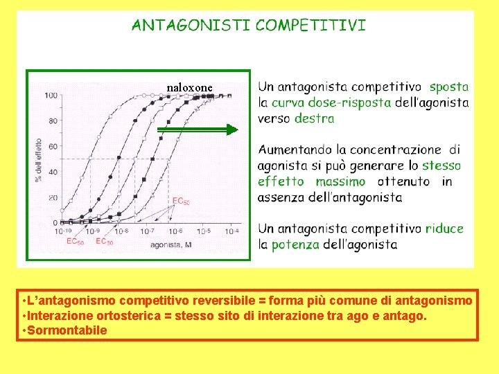 naloxone • L’antagonismo competitivo reversibile = forma più comune di antagonismo • Interazione ortosterica
