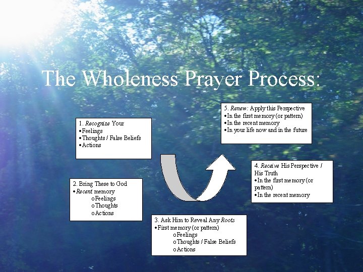 The Wholeness Prayer Process: 1. Recognize Your Feelings Thoughts / False Beliefs Actions 2.
