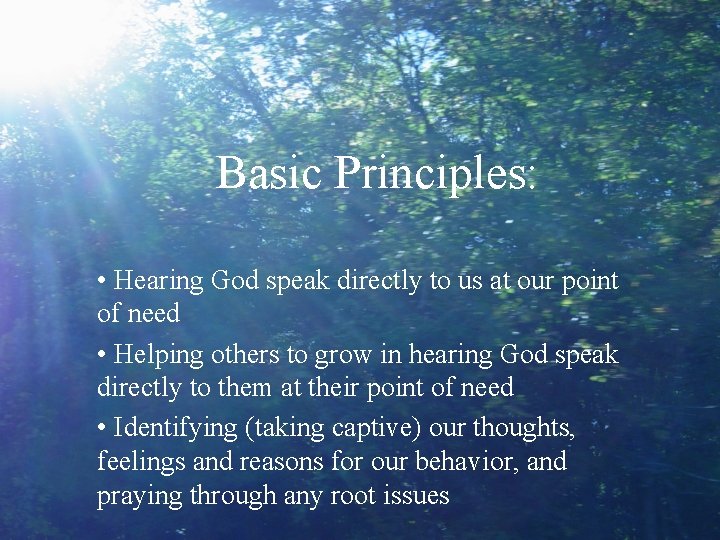Basic Principles: • Hearing God speak directly to us at our point of need