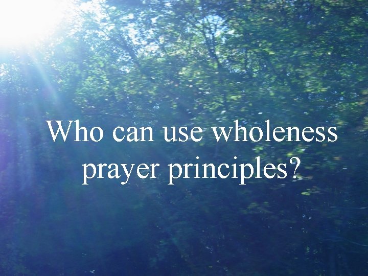 Who can use wholeness prayer principles? 