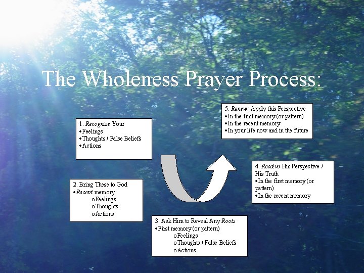 The Wholeness Prayer Process: 1. Recognize Your Feelings Thoughts / False Beliefs Actions 2.