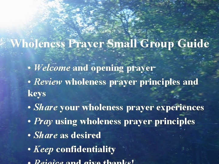 Wholeness Prayer Small Group Guide • Welcome and opening prayer • Review wholeness prayer