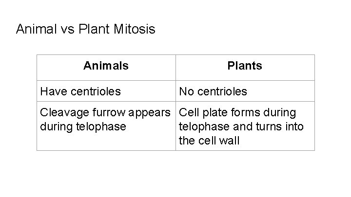Animal vs Plant Mitosis Animals Have centrioles Plants No centrioles Cleavage furrow appears Cell