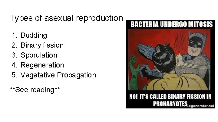 Types of asexual reproduction 1. 2. 3. 4. 5. Budding Binary fission Sporulation Regeneration