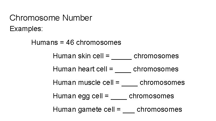 Chromosome Number Examples: Humans = 46 chromosomes Human skin cell = _____ chromosomes Human