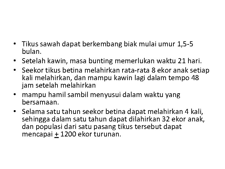  • Tikus sawah dapat berkembang biak mulai umur 1, 5 -5 bulan. •