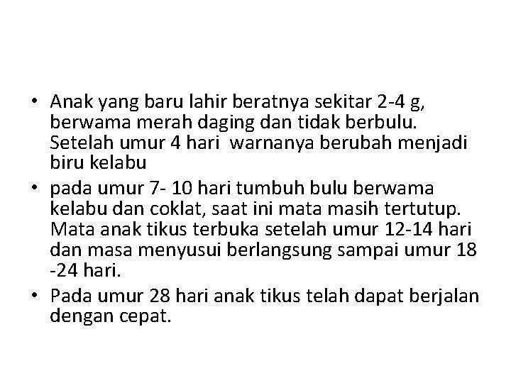  • Anak yang baru lahir beratnya sekitar 2 -4 g, berwama merah daging