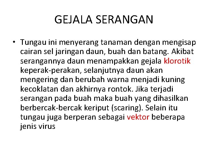 GEJALA SERANGAN • Tungau ini menyerang tanaman dengan mengisap cairan sel jaringan daun, buah