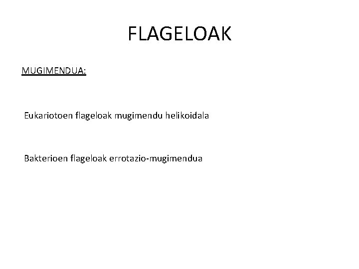 FLAGELOAK MUGIMENDUA: Eukariotoen flageloak mugimendu helikoidala Bakterioen flageloak errotazio-mugimendua 