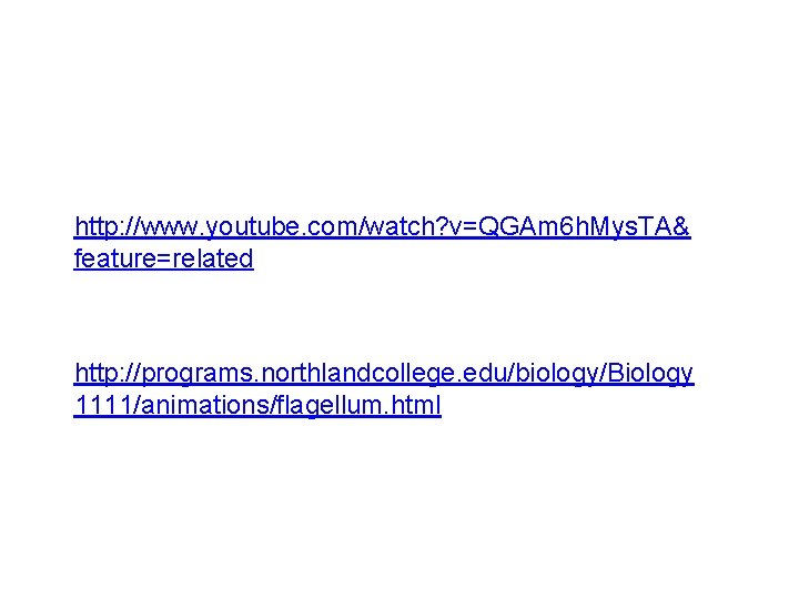 http: //www. youtube. com/watch? v=QGAm 6 h. Mys. TA& feature=related http: //programs. northlandcollege. edu/biology/Biology