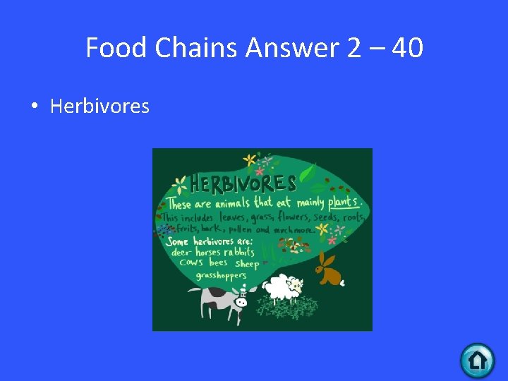 Food Chains Answer 2 – 40 • Herbivores 