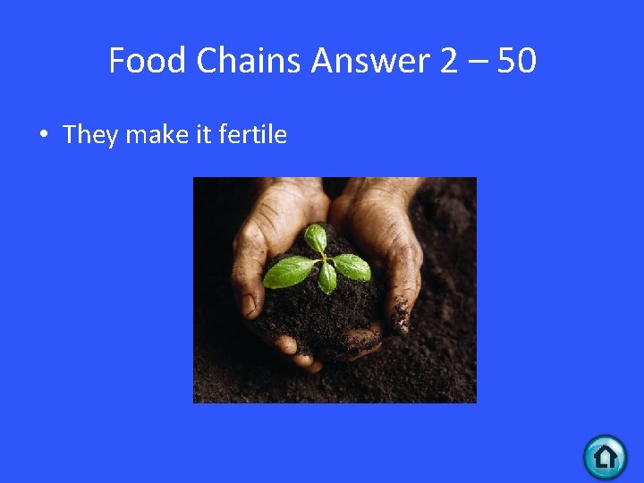 Food Chains Answer 2 – 50 • They make it fertile 