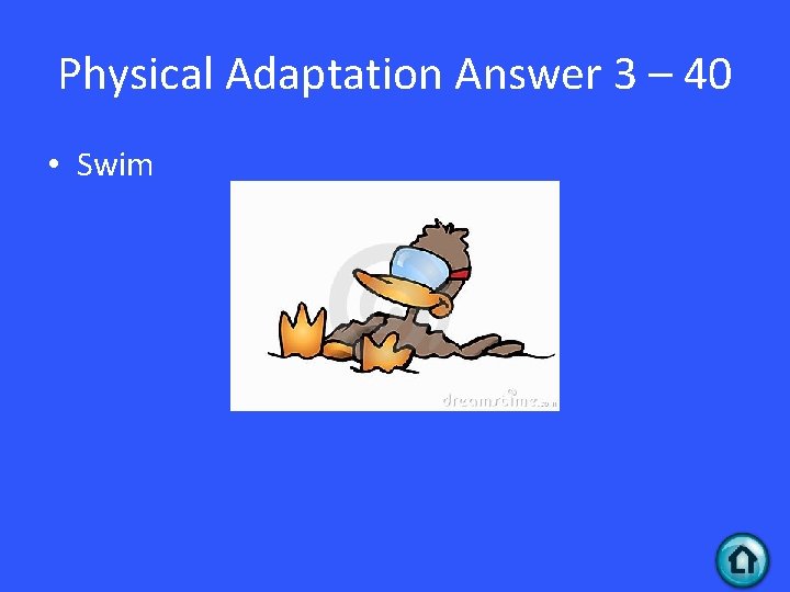 Physical Adaptation Answer 3 – 40 • Swim 