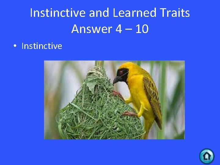 Instinctive and Learned Traits Answer 4 – 10 • Instinctive 