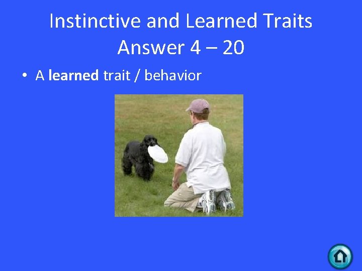 Instinctive and Learned Traits Answer 4 – 20 • A learned trait / behavior