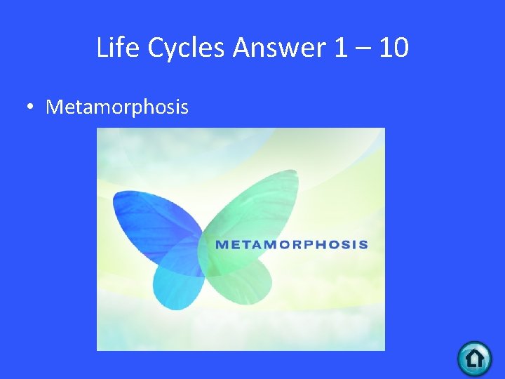 Life Cycles Answer 1 – 10 • Metamorphosis 