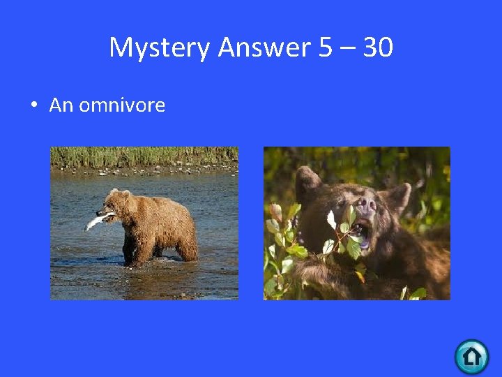 Mystery Answer 5 – 30 • An omnivore 