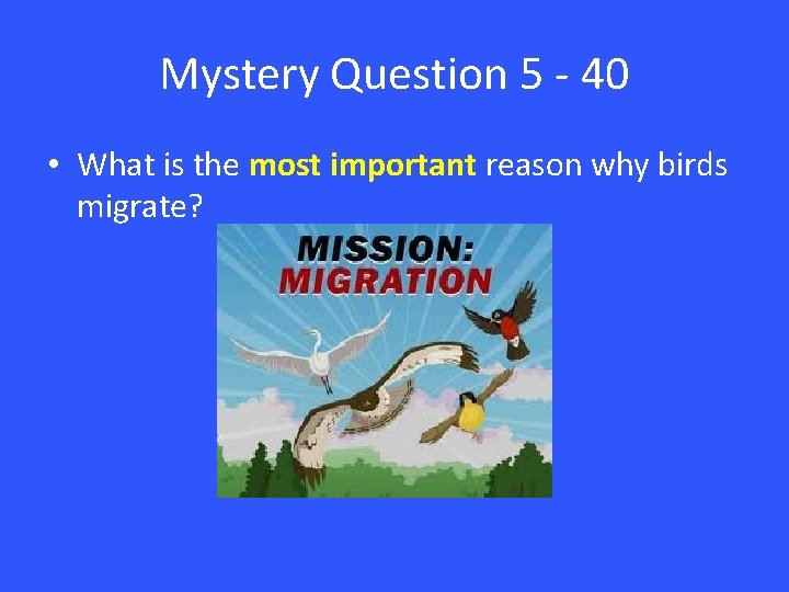 Mystery Question 5 - 40 • What is the most important reason why birds