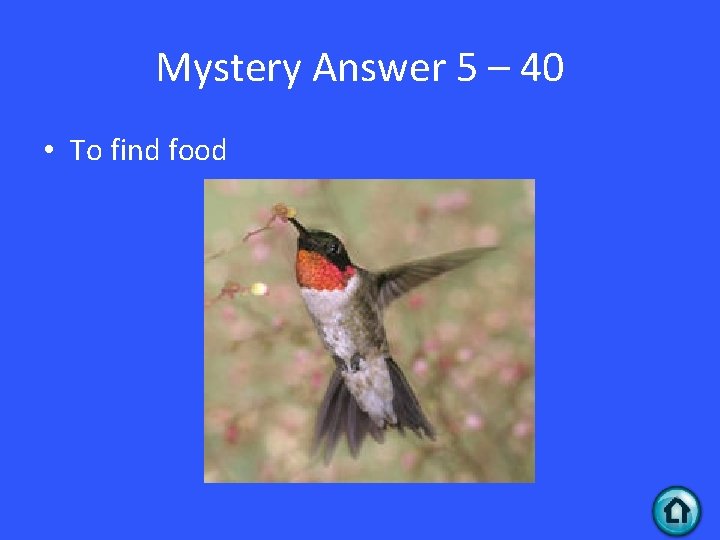 Mystery Answer 5 – 40 • To find food 