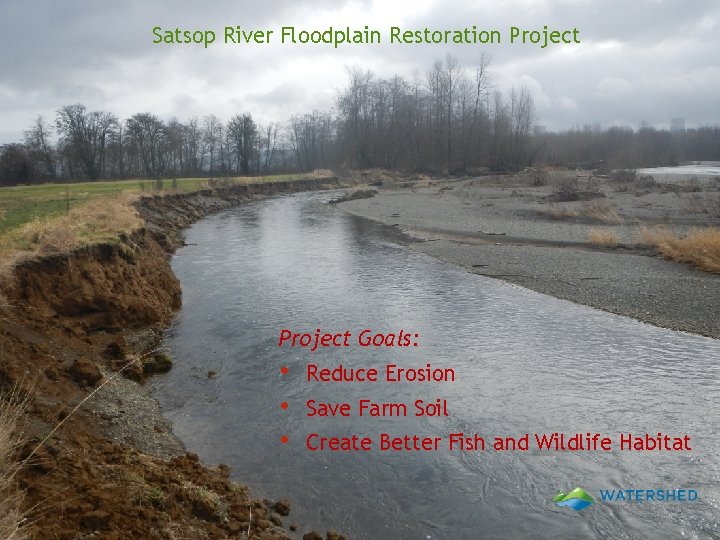 Satsop River Floodplain Restoration Project Goals: • • • Reduce Erosion Save Farm Soil