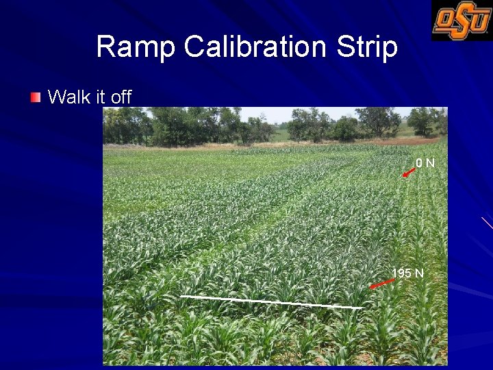 Ramp Calibration Strip Walk it off 0 N 195 N 