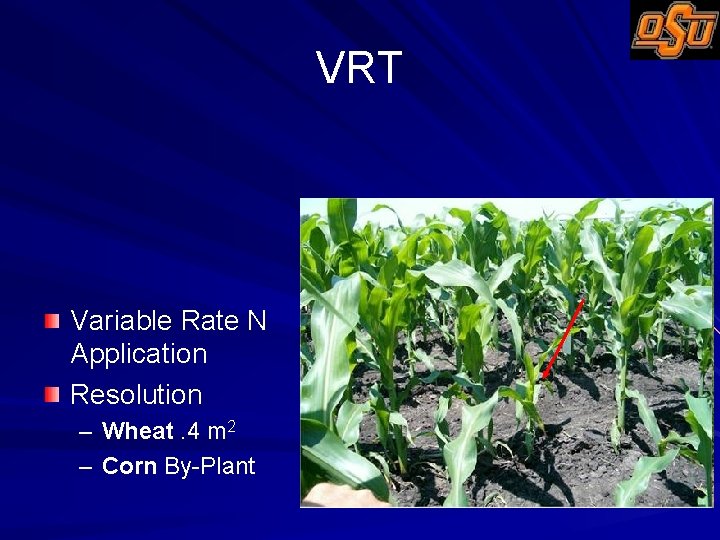 VRT Variable Rate N Application Resolution – Wheat. 4 m 2 – Corn By-Plant