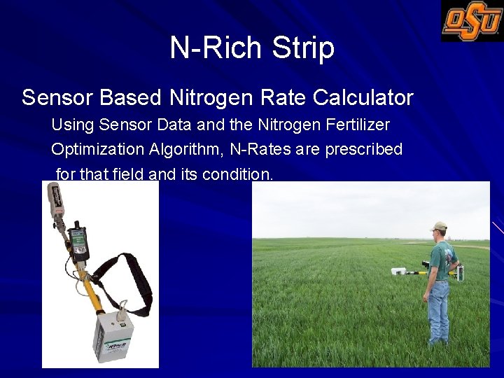 N-Rich Strip Sensor Based Nitrogen Rate Calculator Using Sensor Data and the Nitrogen Fertilizer
