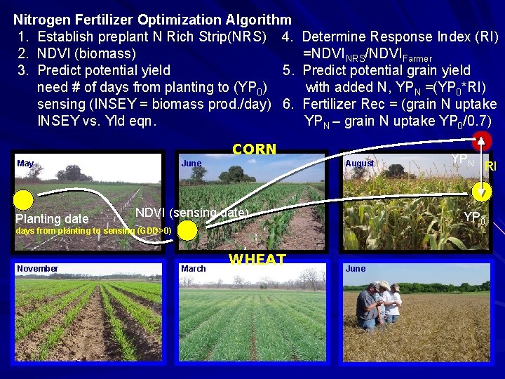 Aug 16, 2002 Fertilizer Optimization Aug 28, 2002 Algorithm Nitrogen 1. Establish preplant N