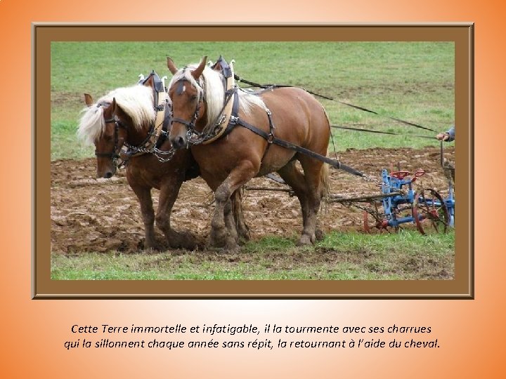 Cette Terre immortelle et infatigable, il la tourmente avec ses charrues qui la sillonnent