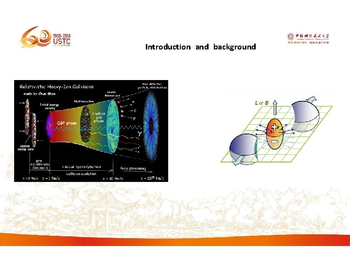 Introduction and background 