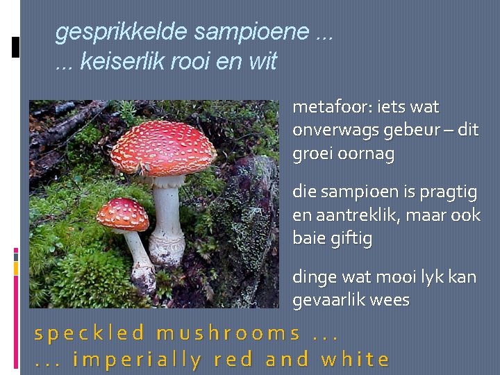 gesprikkelde sampioene. . . keiserlik rooi en wit metafoor: iets wat onverwags gebeur –