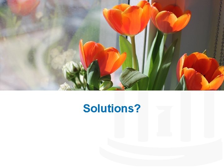 Solutions? 
