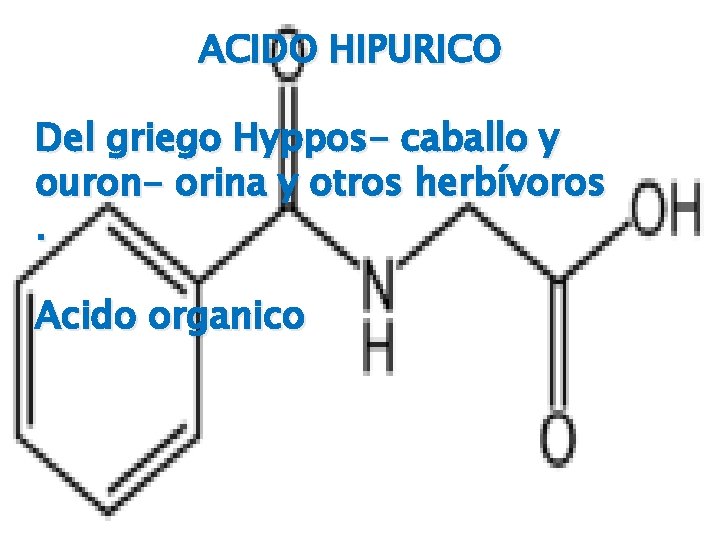 ACIDO HIPURICO Del griego Hyppos- caballo y ouron- orina y otros herbívoros. Acido organico