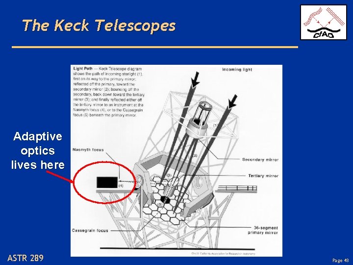 The Keck Telescopes Adaptive optics lives here ASTR 289 Page 48 