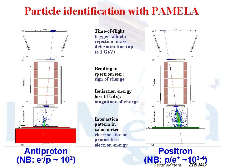 Particle identification with PAMELA Time-of-flight: trigger, albedo rejection, mass determination (up to 1 Ge.