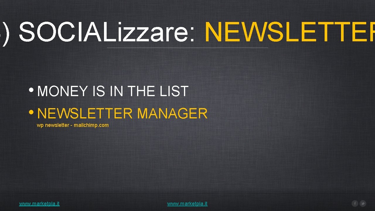 4) SOCIALizzare: NEWSLETTER • MONEY IS IN THE LIST • NEWSLETTER MANAGER wp newsletter