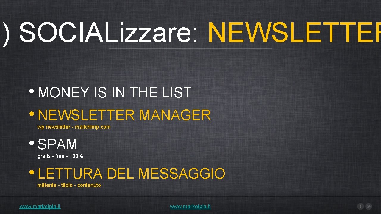 4) SOCIALizzare: NEWSLETTER • MONEY IS IN THE LIST • NEWSLETTER MANAGER wp newsletter