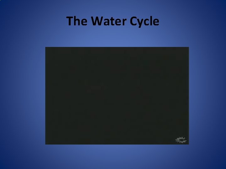 The Water Cycle 