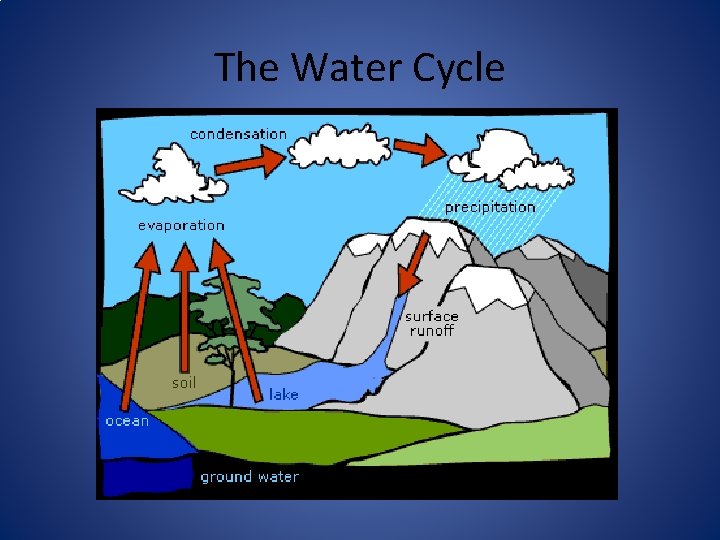 The Water Cycle 