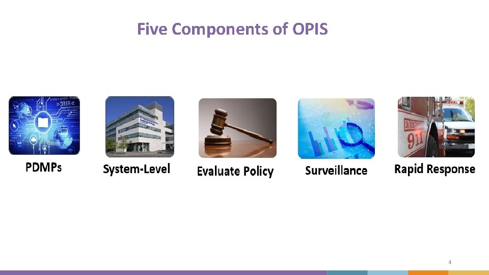 Five Components of OPIS 4 