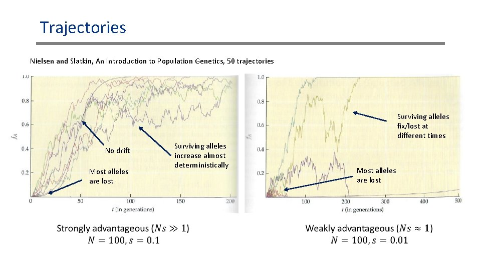Trajectories Nielsen and Slatkin, An Introduction to Population Genetics, 50 trajectories Surviving alleles fix/lost Trajectories Nielsen and Slatkin, An Introduction to Population Genetics, 50 trajectories Surviving alleles fix/lost