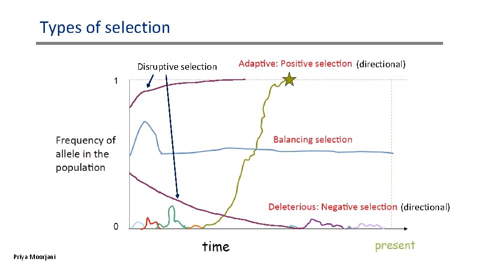 Types of selection Disruptive selection (directional) Priya Moorjani Types of selection Disruptive selection (directional) Priya Moorjani