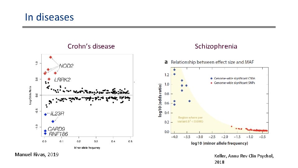 In diseases Crohn’s disease Schizophrenia Height Marouli et al. , Nature, 2017 Manuel Rivas, In diseases Crohn’s disease Schizophrenia Height Marouli et al. , Nature, 2017 Manuel Rivas,