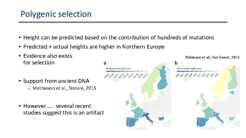 Polygenic selection • Height can be predicted based on the contribution of hundreds of Polygenic selection • Height can be predicted based on the contribution of hundreds of